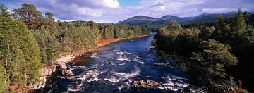 framing options