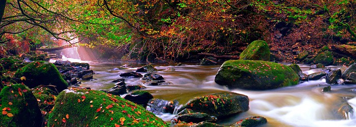 The Birks of Aberfeldy, Perthshire. October 2005. Konica Minolta 5D 18â€“70mm.