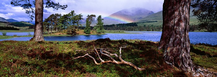 Loch Tulla, Argyll and Bute. May 2007. Hasselblad Xpan 45mm.