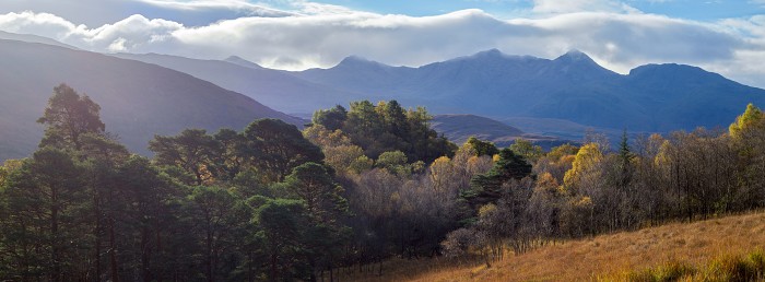 Ben Cruachan. Hasselblad X1D 55mm. November 2021.